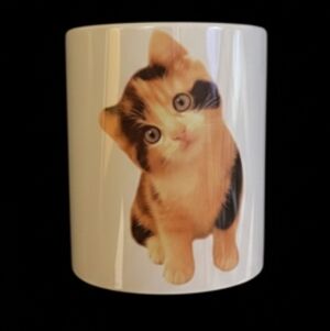 Harley-Davidson White and Orange Mug